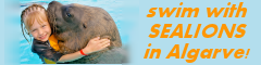 swim with sealions algarve portugal